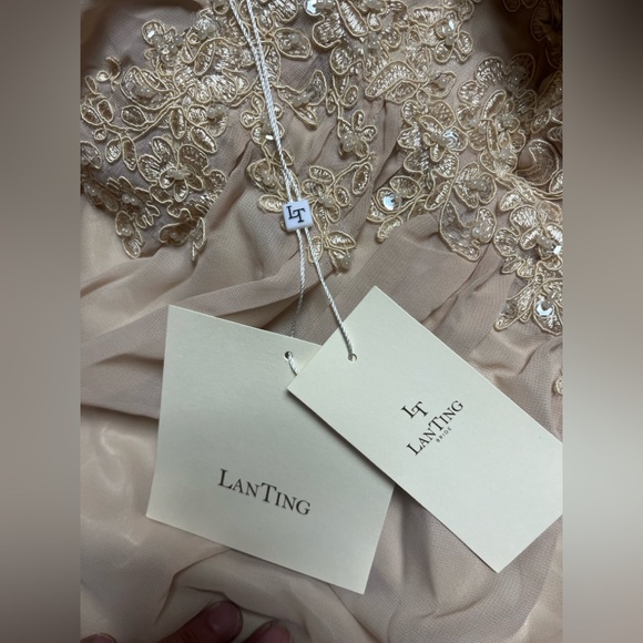 Long Cape Sleeve Formal Dress Plus size 18 Mother of the Bride Dresses Lace Back - Picture 4 of 6